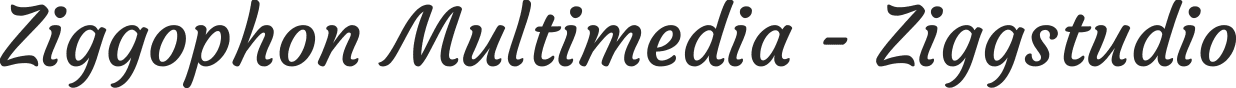 ziggstudio.dk